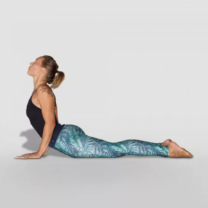 Yoga asanas and names - Cobra Pose (Bhujangasana)