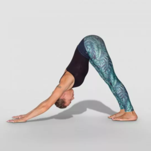 Yoga Asanas and names - Downward-Facing Dog (Adho Mukha Svanasana)